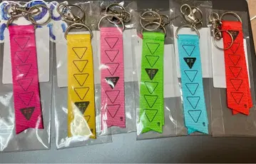 가시없는개미래 박동의 미래 Zepp 회장 한정판 리본 참 컴플리트