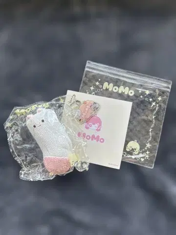 MoMo 스튜디오 겨울 시리즈 스퀴즈