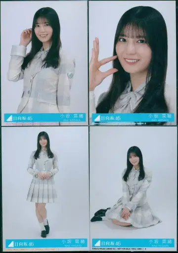 히나타자카46 너는 허니듀 코사카나오 봉입 특전 브로마이드 4종 컴프