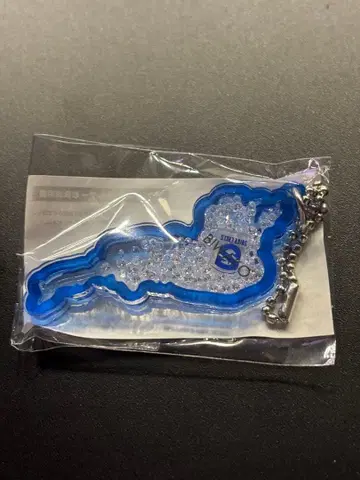 시가 레이크스 엠블럼 비와코 아크릴 키링 가챠가챠