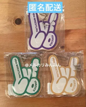 신일본 프로레슬링 노아 은퇴 경기 카라비너 아크릴 키링 무토 케이지