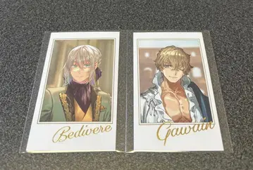 FGO 포트레이트 컬렉션 Fes.2025 베디비에르 가웨인