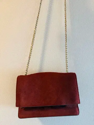 Zara velvet bag
