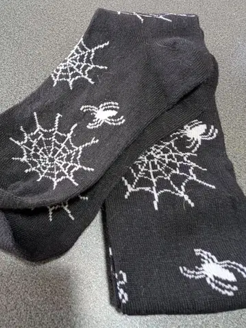 거미와 거미줄 디자인의 니하이 삭스