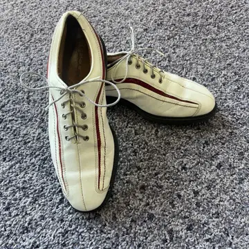 FJ 아이콘 일본 국내 미발표 화이트/레드 수납 봉투 포함