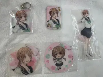 키미초에 아크릴 세트 아사카 반리