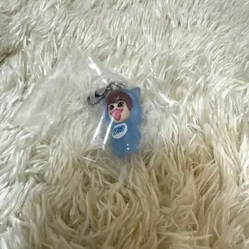 후지와라 죠이치로 메지루시 참 1st DOME LIVE VoyAGE