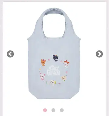 [ nct wish ] 에코백 투어 굿즈