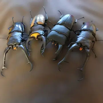 생물 대도감 사슴벌레 묶음 판매, 4체