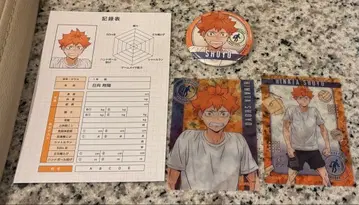 하이큐 애니메이트 체력 측정 히나타 쇼요 세트 판매