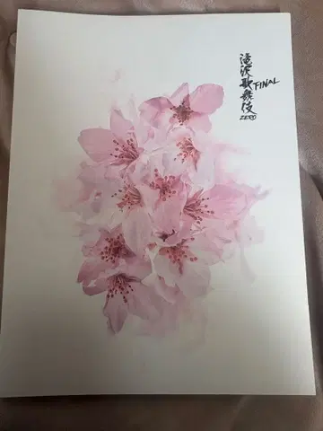 SnowMan FINAL 팜플렛 A4 사이즈, 사진 낱개 판매 가능