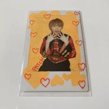 팬더 드래곤 폴라로이드