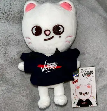 the VICTORY SKZOO MINI PLUSH Jiniret