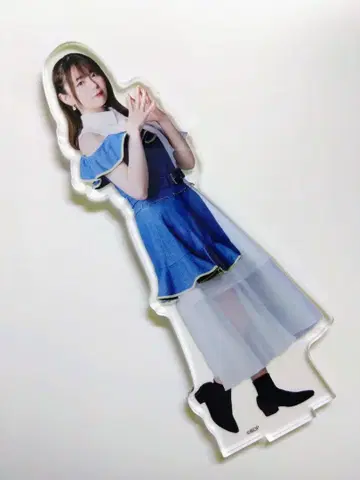 MyGO!!!!! 아티스트 아크릴 스탠드 나가사키 소요 코히나타 미카