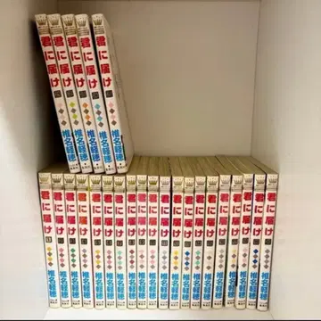 너에게 닿기를 1~25권까지