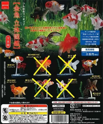 금붕어 입체도감 풀채색 피규어 [모듬 4종] 가챠