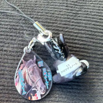 아이돌 호스 미니 컬렉션 vol.42 크루아 드 누르