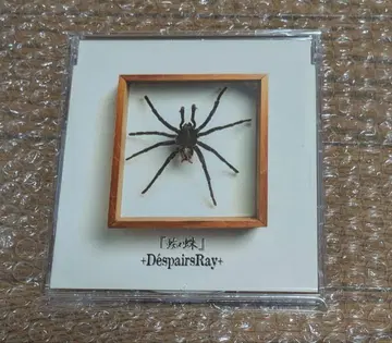 D'ESPAIRSRAY 거미