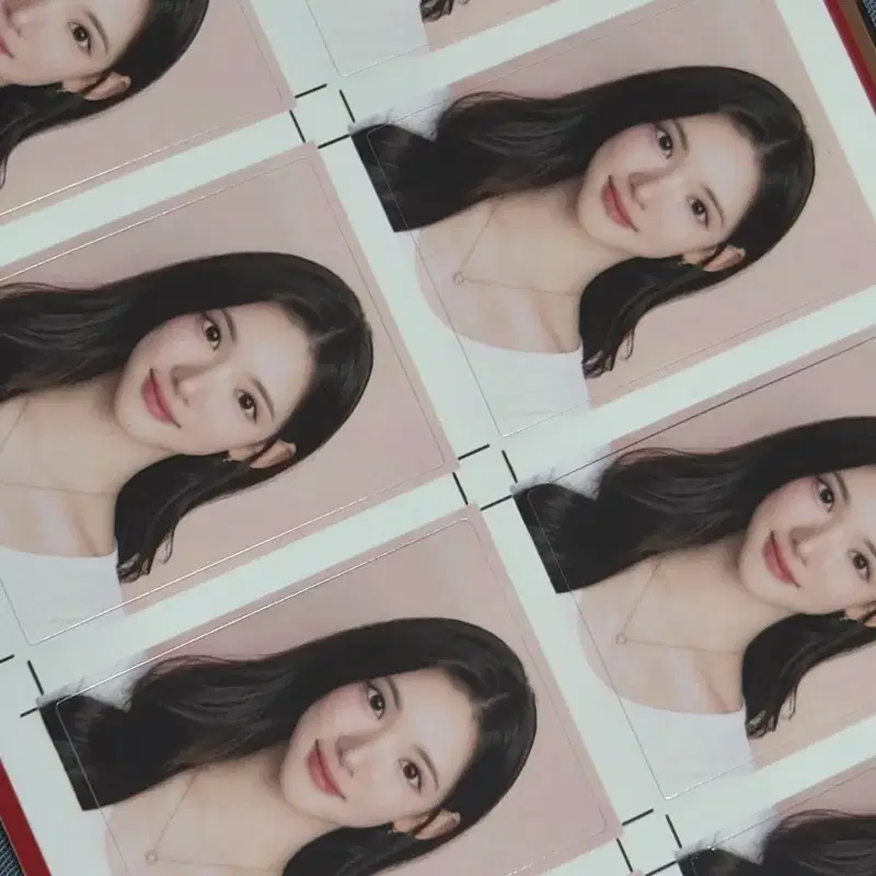 {입고 ! }하츠투하츠 지우 증명사진