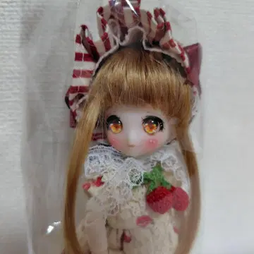 [새상품] 돌체 오리지널 스위츠 인형 아마무스