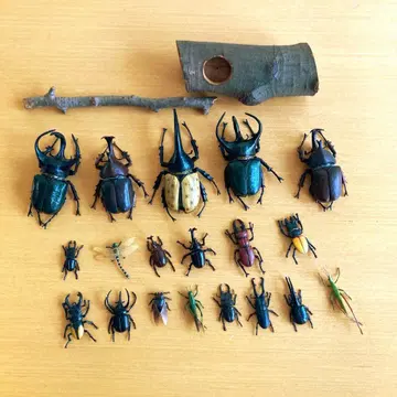 곤충 피규어 장수풍뎅이 횃대