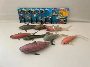 샤크 어택 앤드 코