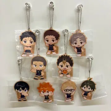 제일복권 하이큐 쓰레기장의 결전 카라스노 아크릴 참