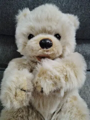 퍼스트사 곰 봉제 인형 약 30cm