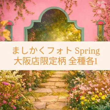 마시카쿠 사진 Spring 오사카점 한정판 패턴