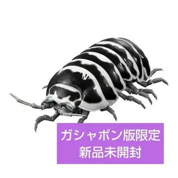 생물대도감 어드밴스 가샤폰판 한정판 제브라 밴딩 벌레 새상품