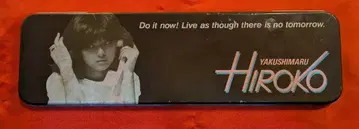 철제 필통 야쿠시마루 히로코 YAKUSHIMARU HIROKO