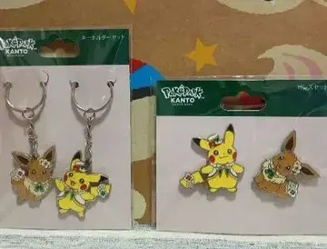 포켓파크 칸토 한정판 피카츄와 이브이 핀즈와 키링 세트