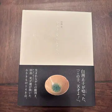 작고 사랑스러운 것 타지마 미츠루