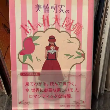 미와 아키히로의 멋쟁이 대도감