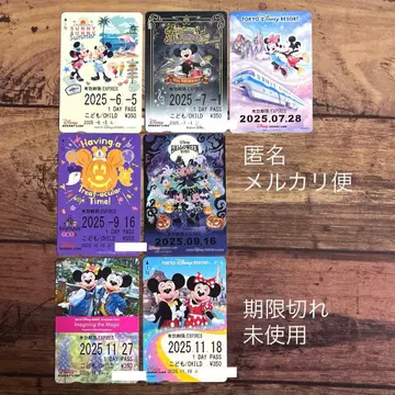 디즈니 리조트 라인 프리 티켓 일괄 기간 만료 미사용