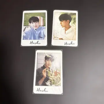 SEVENTEEN al1 호시