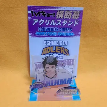 하이큐전 우시지마 와카토시 아들러즈 아크릴 스탠드 원화전 테두리 없음