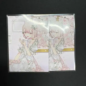 아키야마 미즈키 꽃에 취해 cd 특전 트레이딩 카드