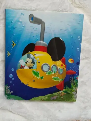 미키 디즈니 구하기 어려움 단종 앨범 레어 일본 디즈니씨