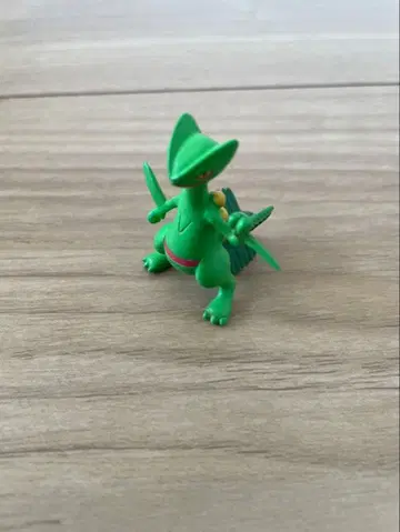 입체 포켓몬 도감 나무킹