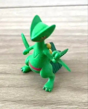 입체 포켓몬 도감 나무킹