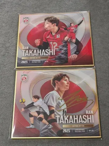 배구 남자 일본 대표 타카하시 란 mini 색지