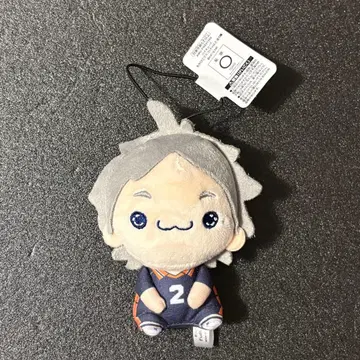 하이큐!! 모찌피코 마스코트 vol.2 스가와라 코시