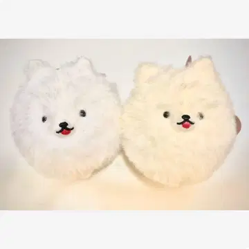 꼬리 붕붕 포메라니안 화이트 & 크림색