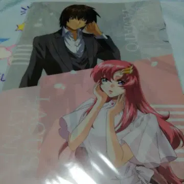 건담 SEED 라크스 키라 클리어 파일 콘택트