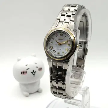 Citizen Exceed 시티즌 에코 드라이브 손목시계 솔라