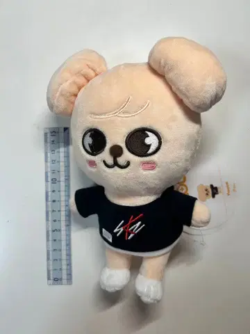 SKZOO 퍼핌 puppyM stray kids 승민