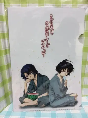 기동전사 건담 SEED DESTINY 신 & 아스란 A4 클리어 파일