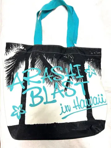 아라시 ARASHI BLAST in Hawaii 백