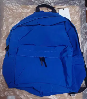 미사용 새상품 스탠다드 서플라이 NEW TINY DAYPACK 블루